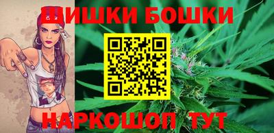 шишки Камышлов
