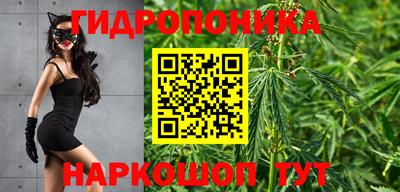 шишки Камышлов