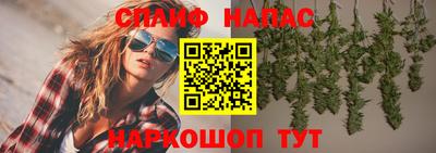 шишки Камышлов