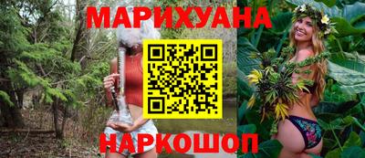 шишки Камышлов