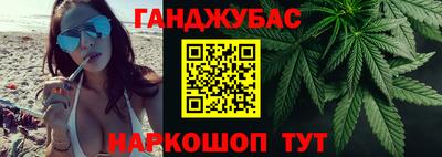 шишки Камышлов