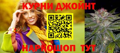 шишки Камышлов