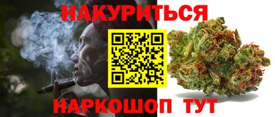 шишки Камышлов
