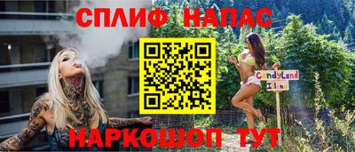 шишки Камышлов