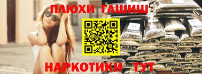 гашик Шелехов
