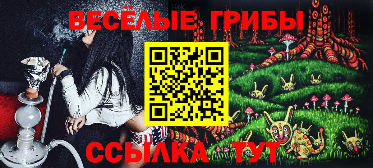 Псилоцибиновые грибы мицелий Магнитогорск